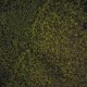 test 21