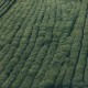test 25