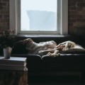 test 17