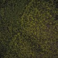 test 21