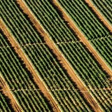 Image caption